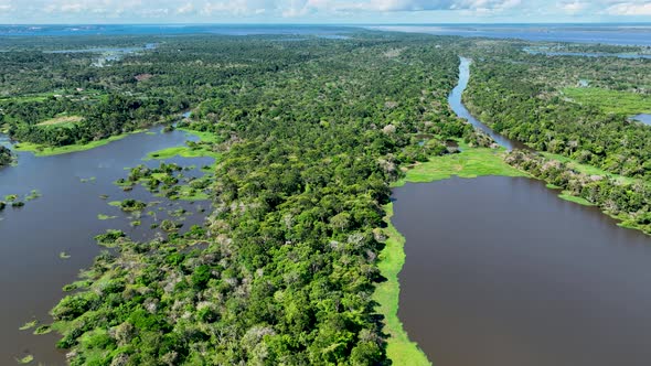 Stunning landscape of Amazon Forest at Amazonas State Brazil.