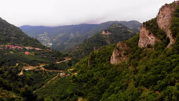 Mountains Forest and Houses