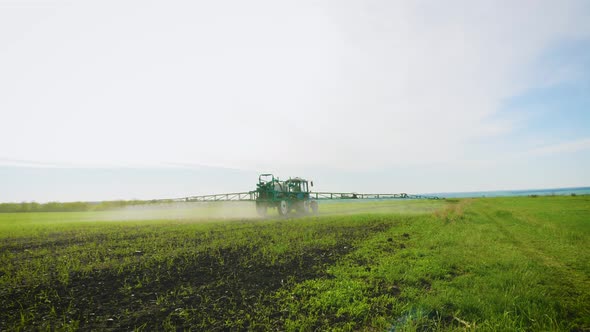 Spraying a Green Wheat Field By Tractor