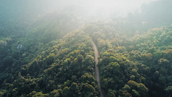 Sunset Forest Green Jungle Road in Wild National Park in Thailand Tropical Island