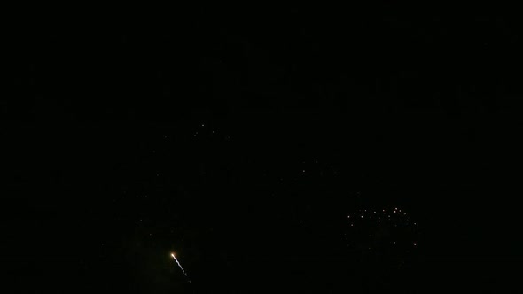 Colorful Firework display at night on sky background alt