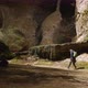 Male traveler with backpack walking near the river or stream in a tropical cave - VideoHive Item for Sale