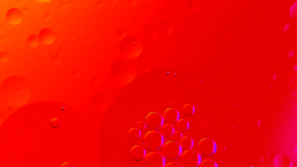 Background animation with colorful changing rainbow colors anding bubbles