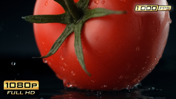 Tomato with Twig Splashing Water