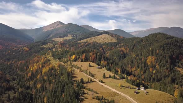 Aerial view of autumn mountain landscape with evergreen pine trees and yellow fall forest