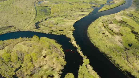 Aerial View Green Forest Woods And Curved River Landscape In Spring Day