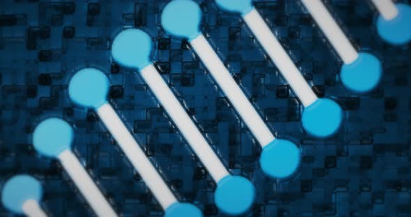 Human Biology DNA Skull Brain animation 4k alt