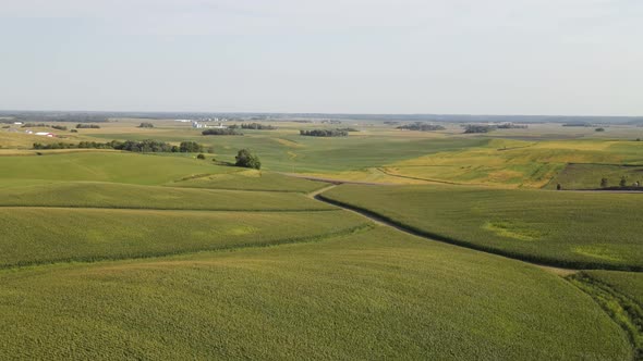 farm corn fields in south minnesota