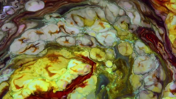 Abstract Bright Colours Paint Spreading Texture  alt