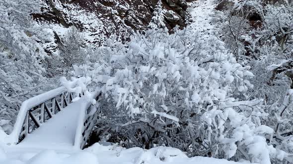 Fresh snow covers the landscape near Boulder Colorado