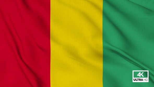 Guinea Flag Waving Slowly Looped