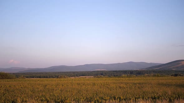 Cinematic  View of the mountains from the car window while driving.