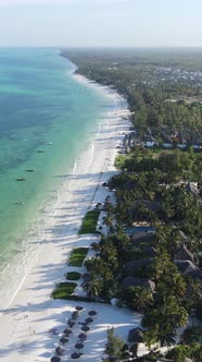 Tanzania  Vertical Video of the Ocean Near the Coast of Zanzibar Slow Motion