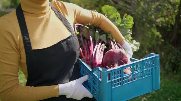 Farmers Market