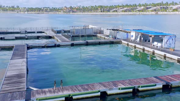 Drone perspective flying at low altitude of floating dolphin island park at Punta Cana in Dominican