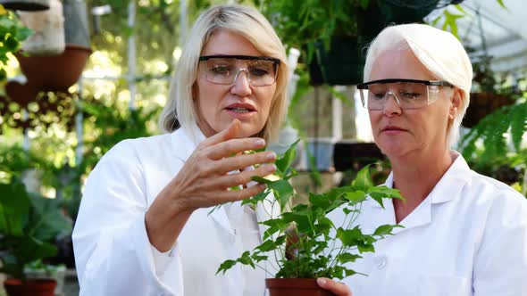 Female scientists checking plants