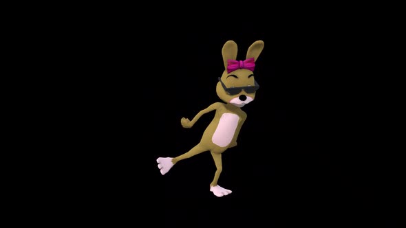 Cartoon Mrs.Rabbit Dance 1