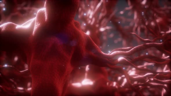 Journey Through a Neuron Cell Network Inside the Brain alt