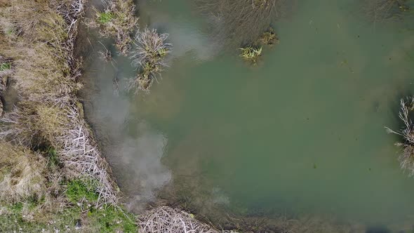 Aerial view looking down at beaver pond with sticks lining the shore