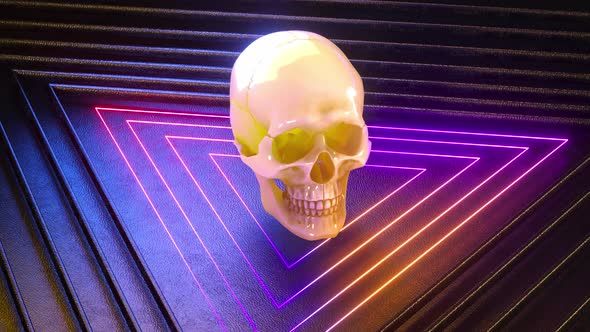 Transparent Glass Skull In Neon Light