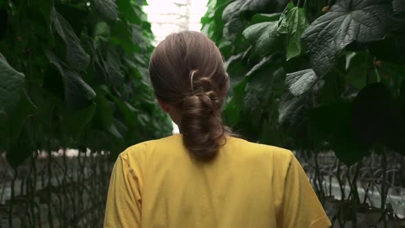 Woman Walking in Hydroponic Greenhouse During Working Day at Agro Company Spbd