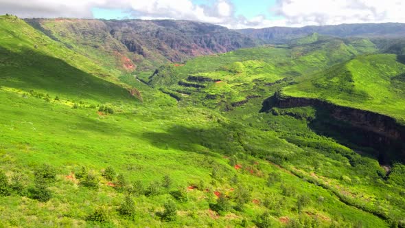 Sunny Green Waimea Canyon