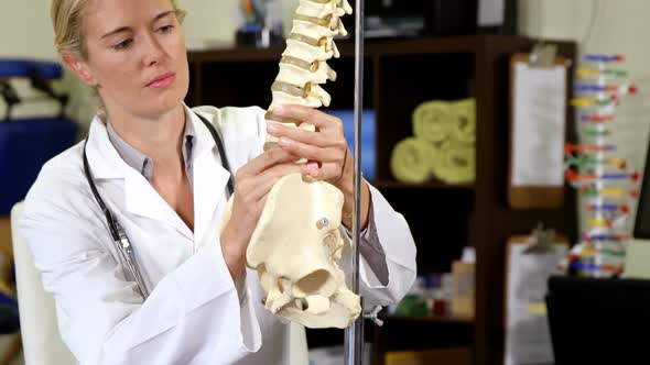 Physiotherapist looking at spine model