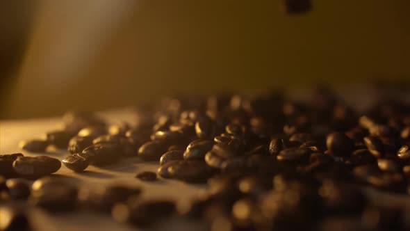 Macro Shot of Coffee Beans Dropping on the Table in Slow Motion