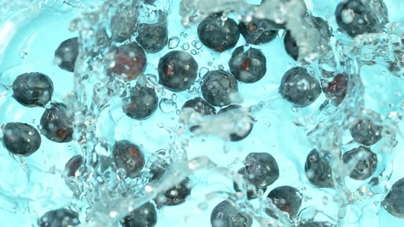 Super Slow Motion Shot of Fresh Blueberries Falling Into Water and Splashing at 1000Fps