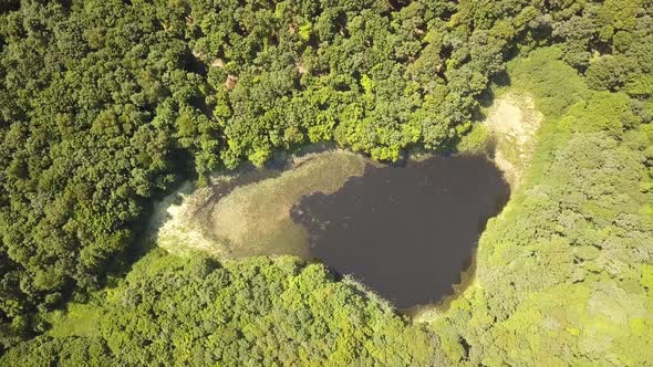 Aerial view of a small forest lake in the middle of green dense woods in summer.