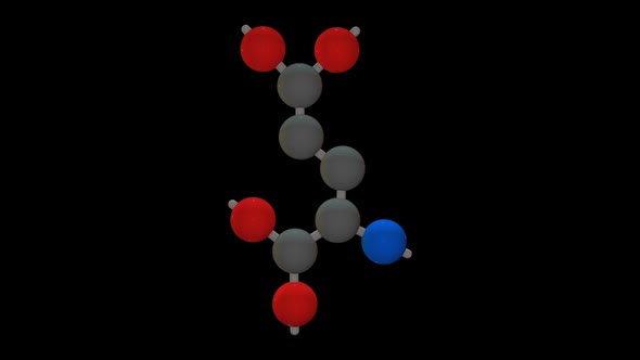 L-glutamic Acid - Amino acid model