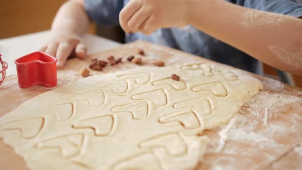 Closeup of Little Boy Filling Biscuit Dough with Raisins and Nuts