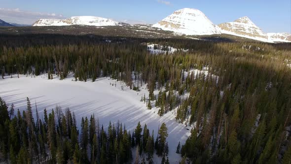 Flying view over a frozen forest in the mountains