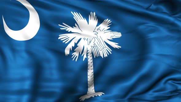 South Carolina State Flag