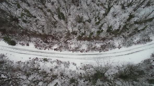 Beautiful snow covered landscapes