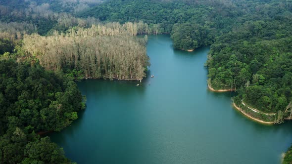 Drone fly over the lake and forest