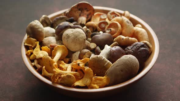 Raw and Fresh Forest Various Mushrooms in Bowl Standing on Rusty Table