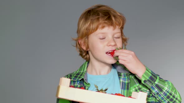 Blonde boy is happy about delicious strawberries from the farmers market.