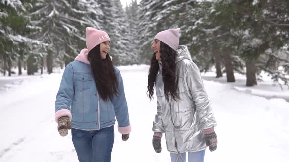 Two Girlfriends Walk in the Woods in the Winter Having a Good Mood