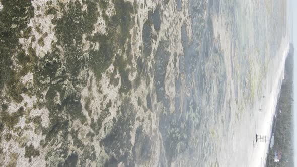 Vertical Video of Low Tide in the Ocean Near the Coast of Zanzibar Tanzania Aerial View