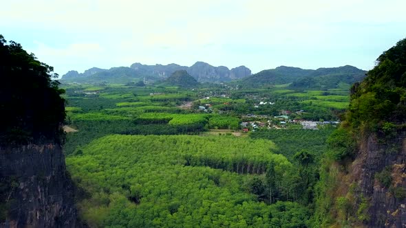 Aerial Shot Passing Through Mountains and Palm Trees Field Krabi Thailand