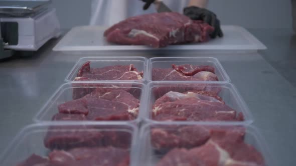 Different Cuts of Fresh Raw Beef Meat in Trays on Table in Slaughterhouse