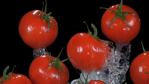 Small Delicious Cherry Tomatoes are Flying on the Black Background with Splashes