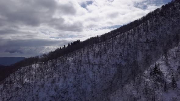 Scenic aerial view of mountainside trees with snow covered ground on cloudy blue sky day with mounta