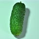 Cucumber of young crop with pimples on blue background in a movement in a circle. Isolate. - VideoHive Item for Sale