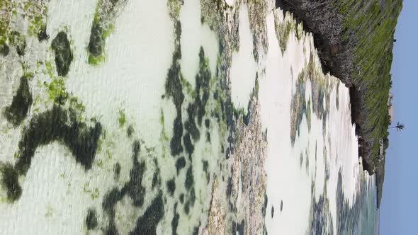 Vertical Video of Low Tide in the Ocean Near the Coast of Zanzibar Tanzania Aerial View