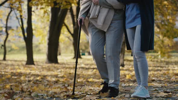 Low section of female nurse helping senior woman walking in park. Shot with RED helium camera in 8K