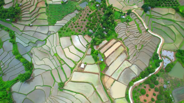 An aerial view over the beautiful rice terraces