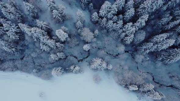 Winter Landscape Aerial view