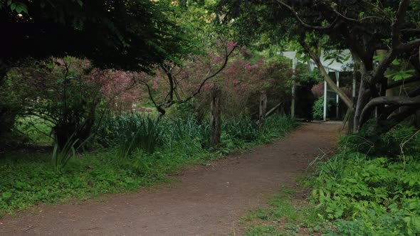 Two Girls in White Clothes Run on the Path in the Park